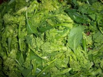Ricette di Cime di rapa